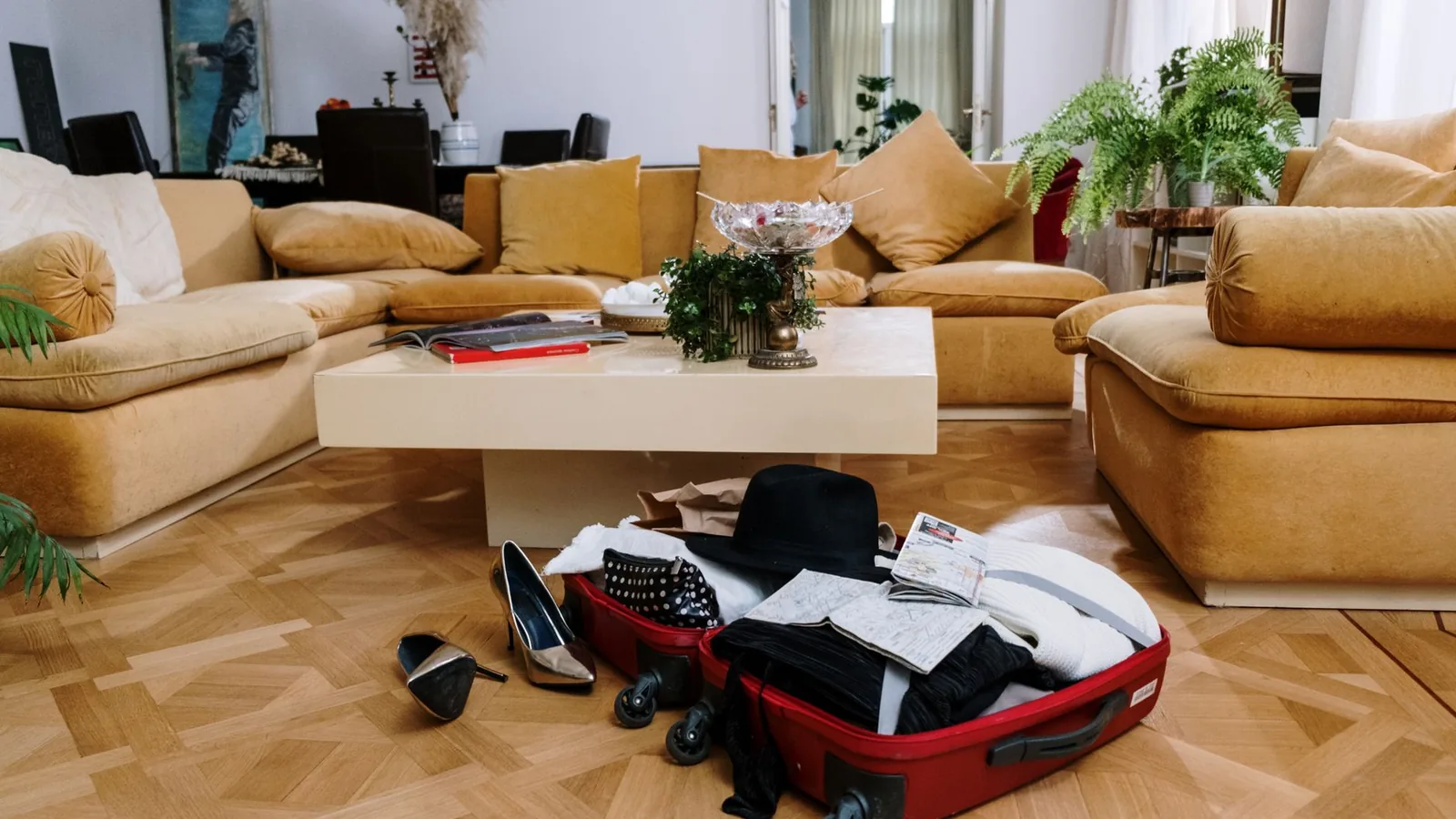 Packing cubes luggage flat lay