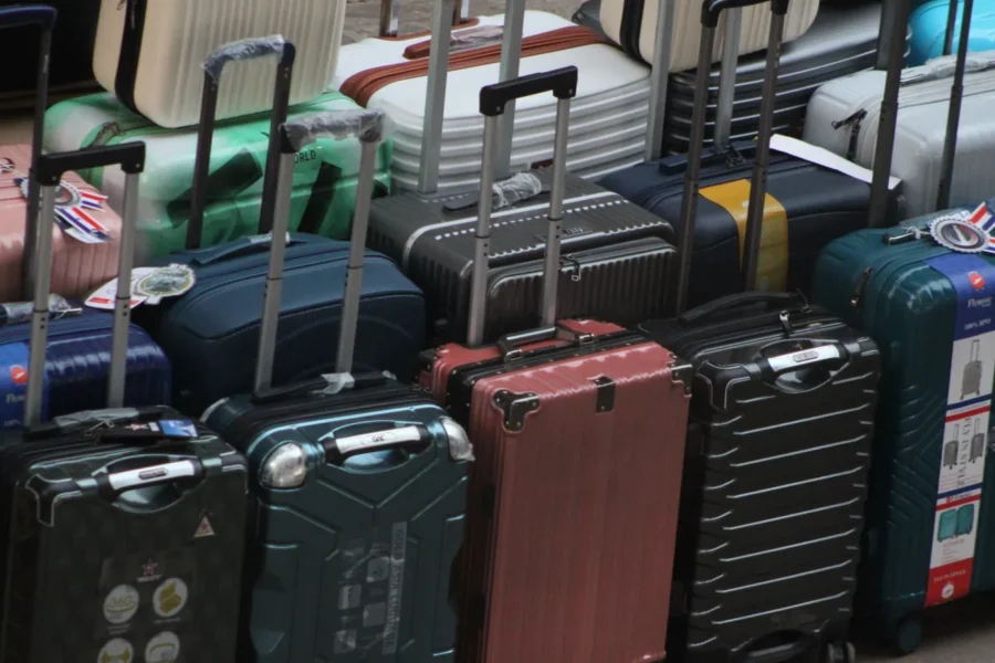 Traveller wheeling suitcase city